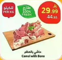 حاشي بالعظم