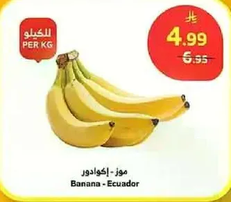 موز - اكوادور