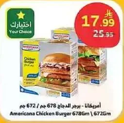 برجر الدجاج 678 جرام