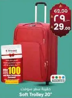 Soft Trolley 20"