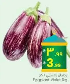 Eggplant Violet 1 kg