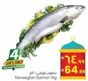 سلمون نرويجي 1 كغ