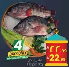 بلطي 1 كجم