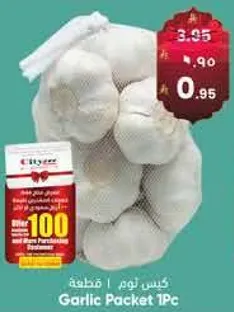 Garlic Packet 1Pc