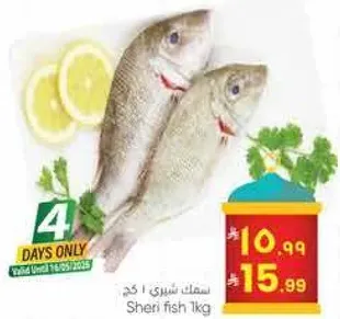 سمك شري 1 كجم