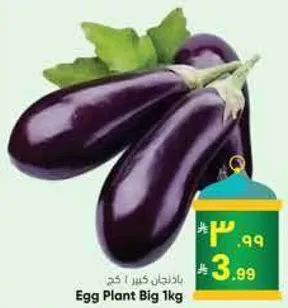 Egg Plant Big 1kg