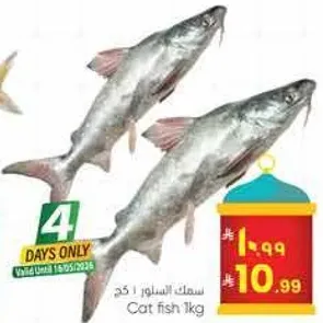 سمك السلور 1 كغ