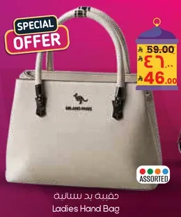 Ladies Hand Bag