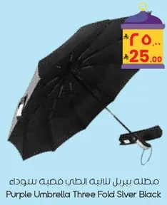 Purple Umbrella Three Fold Silver Black