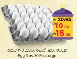 صينيه بيض كبيره سعه 30 بيضه