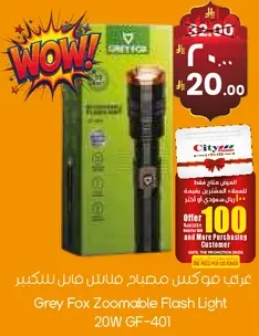 Grey Fox Zoomable Flash Light 20W GF-401