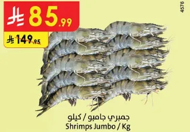 جمبري جامبو / كيلو