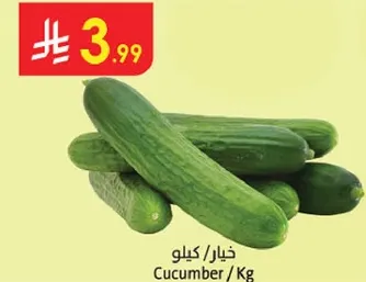 خيار / كيلو