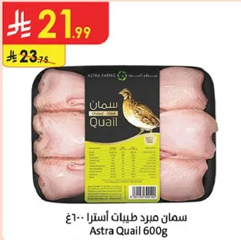 سمان مبرد طيبات استرا 600غ