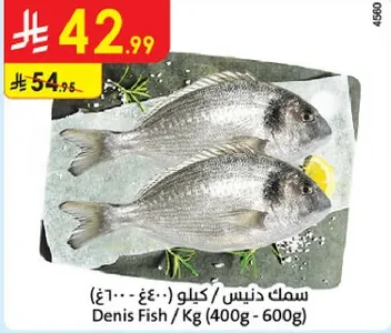 سمك دنيس / كيلو (400 - 600 جرام)