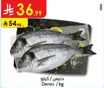 سمك دينيس / كيلو.