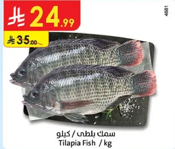 سمك بلطي / كيلو