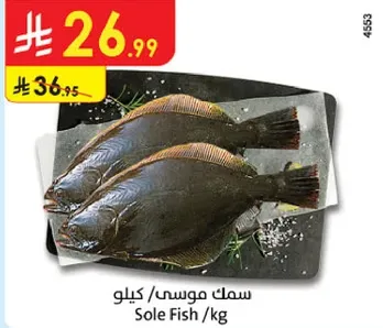 سمك موسي /كيلو