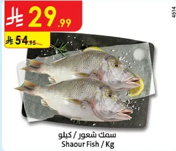 سمك شعور / كيلو