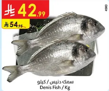 سمك دنيس / كيلو