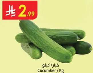 خيار / كيلو