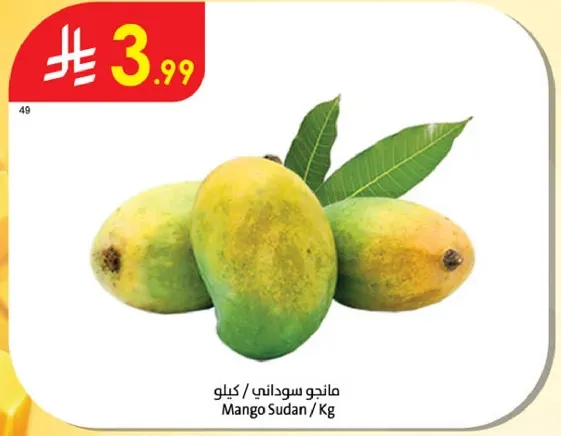 مانجو سوداني / كغ