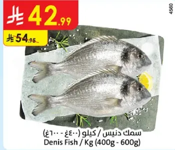 سمك دنيـس / كيلـو (400غ - 600غ)
