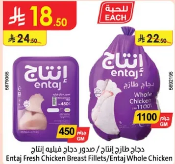 دجاج طازج انتاج / صدور دجاج فيليه انتاج