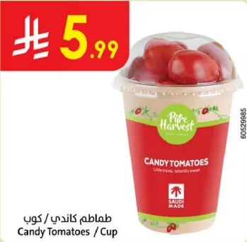 طماطم كندي / كوب