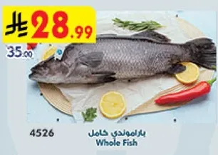 سمكه كامله