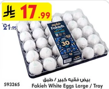 بيض فقيه كبير / طبل