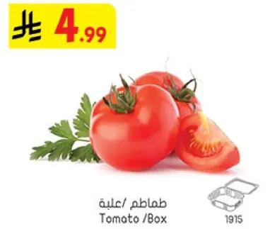 طماطم / علبه