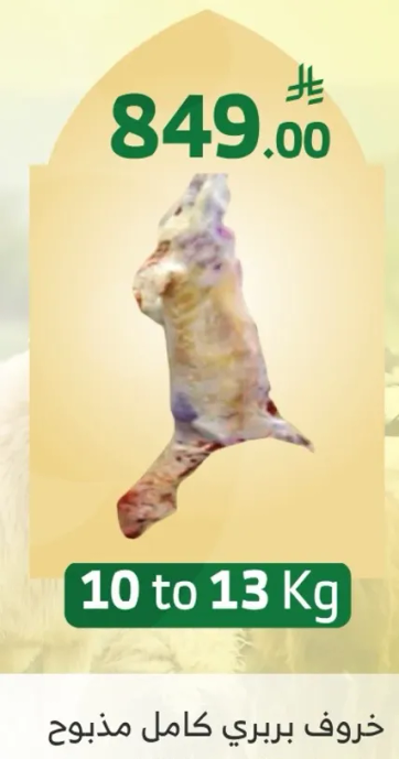 خروف بري كامل مذبوح