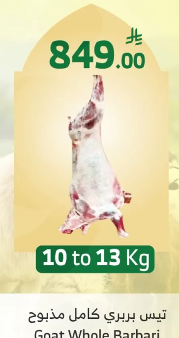تيس بريري كامل مذبوح