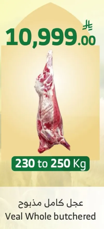 عجل كامل مذبوح