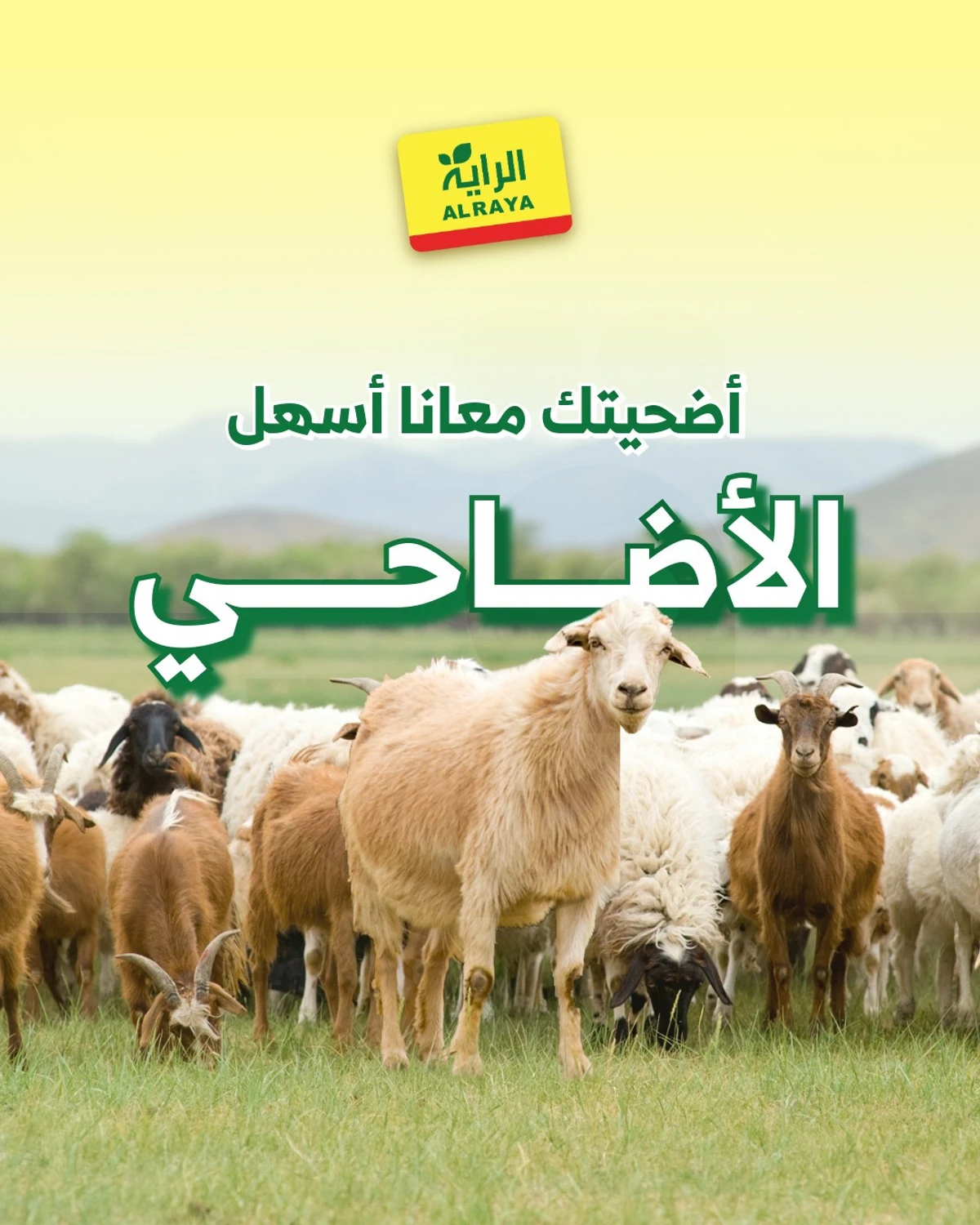 EID SACRIFICE DEALS
