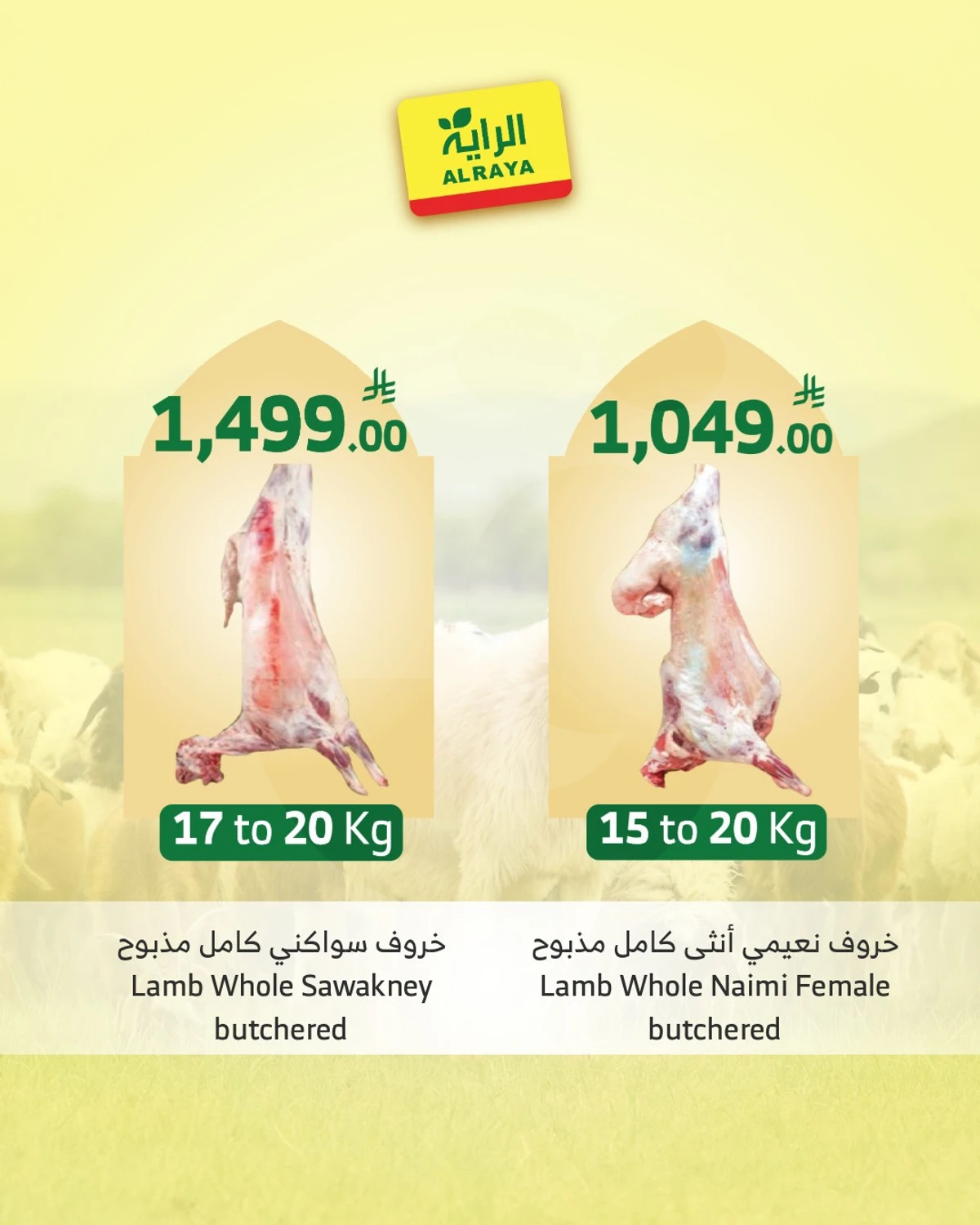 EID SACRIFICE DEALS - Page 4