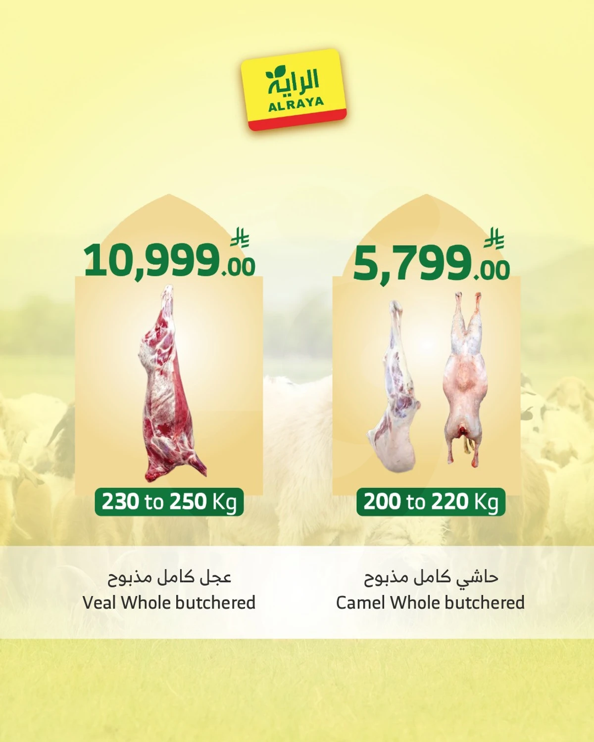 EID SACRIFICE DEALS - Page 7