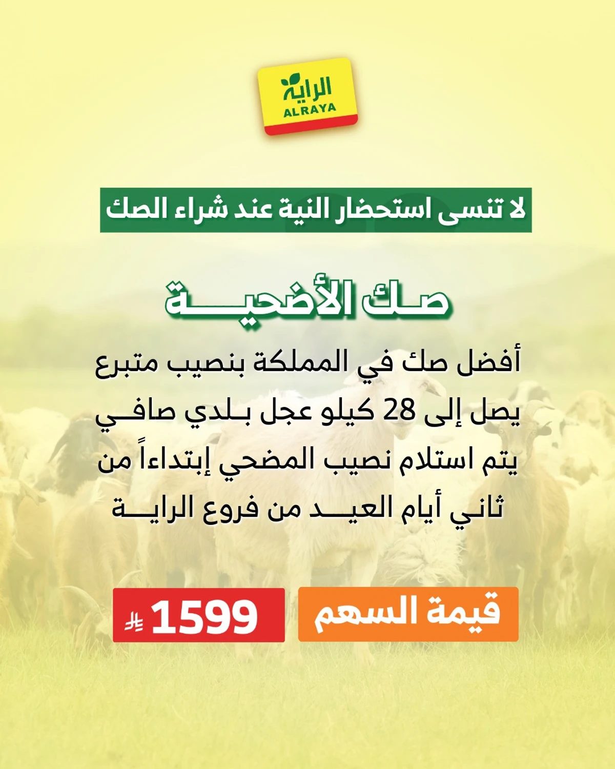 EID SACRIFICE DEALS - Page 8