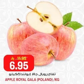 تفاح رويال جالا (بولندا) / كيلو