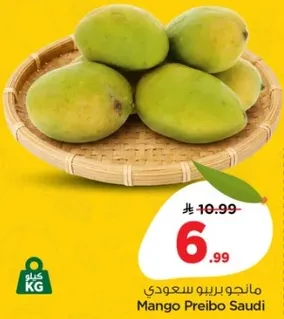 مانجو بريبو سعودي
