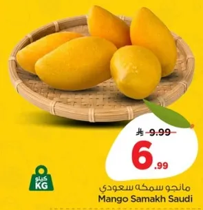 مانجو سمكه سعودي