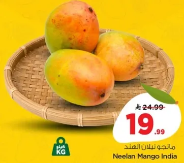 مانجو نيلان الهند