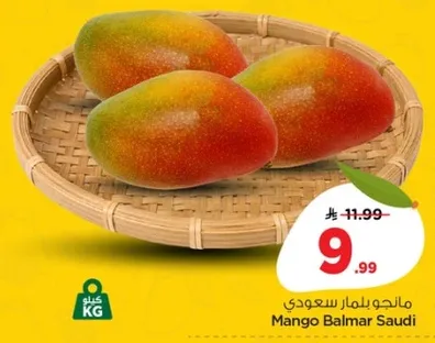 مانجو بالمار سعودي