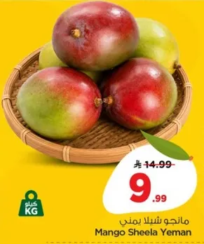 مانجو شيله يمني