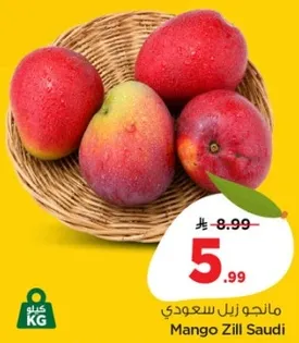 مانجو زل سعودي