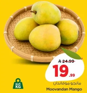 مانجو موفانلان