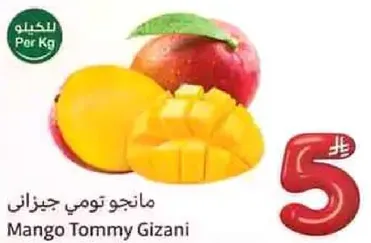 مانجو تومي جزاني