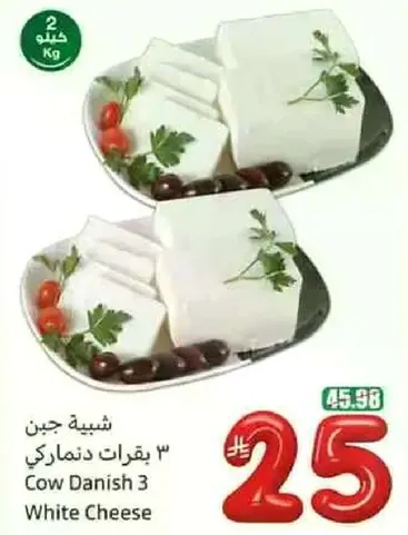 جبن دانماركي 3