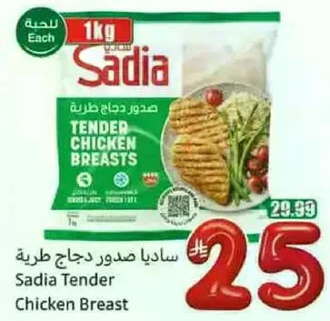 صدور دجاج طريه ساديا